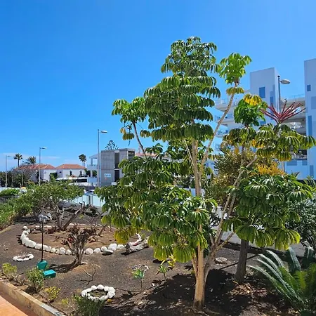 Hdfm Collection - Sea Garden *